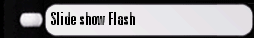 Slide show Flash